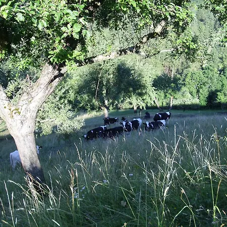 Farm Zagar 2* Mozirje
