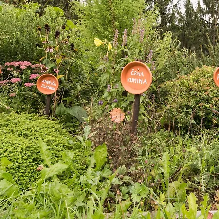 Casa de hóspedes Farm Zagar Mozirje