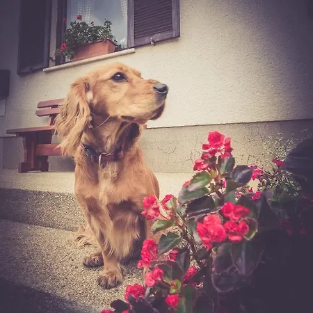 Farm Zagar Casa de hóspedes Mozirje