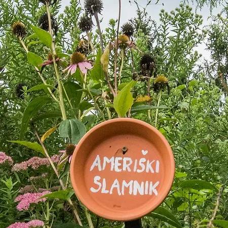 Farm Zagar Πανσιόν Mozirje