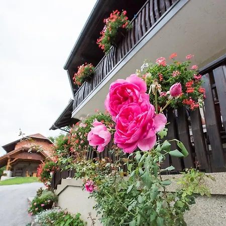 Farm Zagar Mozirje