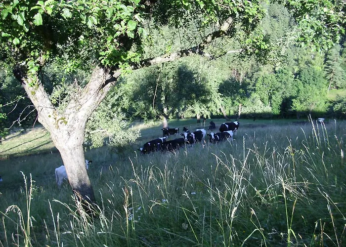 Farm Zagar 2* Mozirje