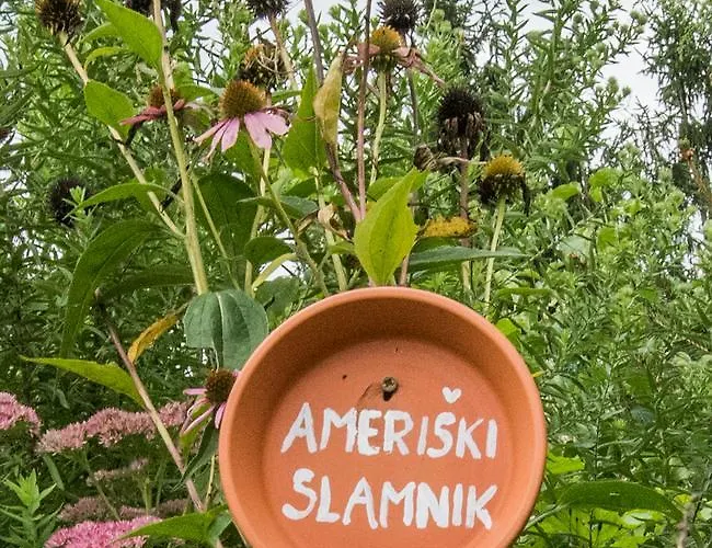 Farm Zagar Gasthuis Mozirje